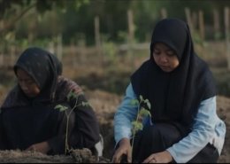Kegiatan pertanian di DSA Ponpes Fathul Ulum, Kabupaten Jombang.